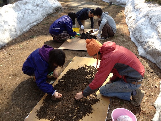 4/11 淺井展制作レポート03_土絵の具つくり ASAI Yusuke Project Report 03_making soil paints_c0216068_1365264.jpg