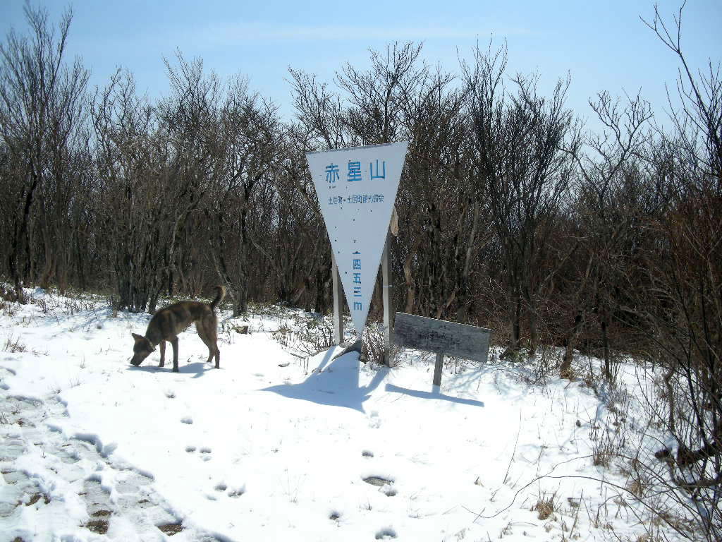 No206 四国・法皇山系・赤星山～豊受山縦走_b0185573_1810669.jpg