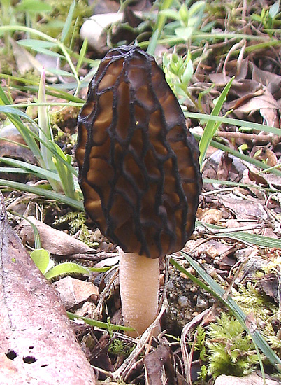e0064375_14331369.jpg