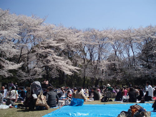 c0240877_2336348.jpg