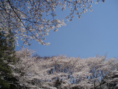 c0240877_23385671.jpg
