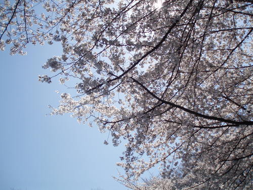 c0240877_2338746.jpg