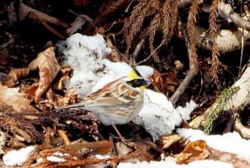f0083977_22451093.jpg
