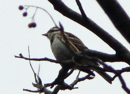 f0083977_23305985.jpg