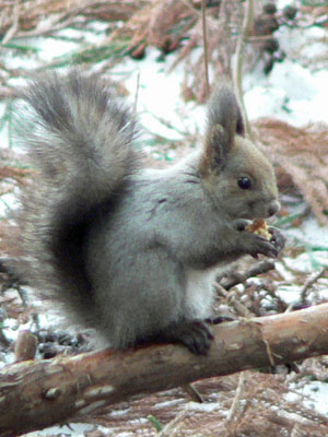 f0083977_2332367.jpg
