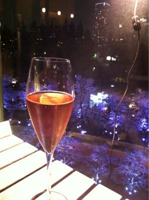 ミッドタウンの夜桜_a0142478_355851.jpg
