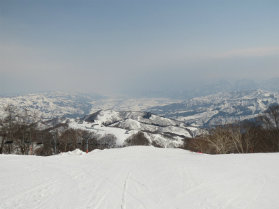 a0038882_8423989.jpg
