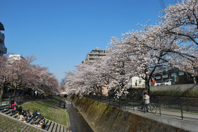 e0172592_16165245.jpg