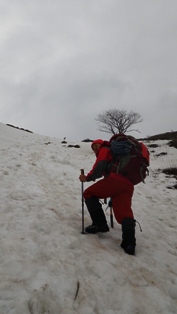 伊吹山_e0111396_18352111.jpg
