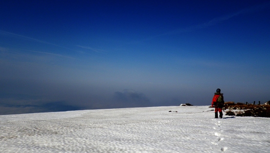伊吹山_e0111396_18463593.jpg