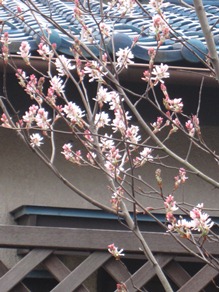 c0117898_21103235.jpg