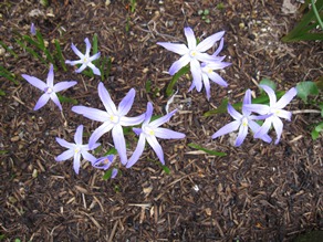 c0117898_21124328.jpg