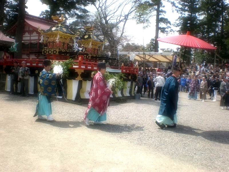 天津神社春大祭_d0235898_17534814.jpg