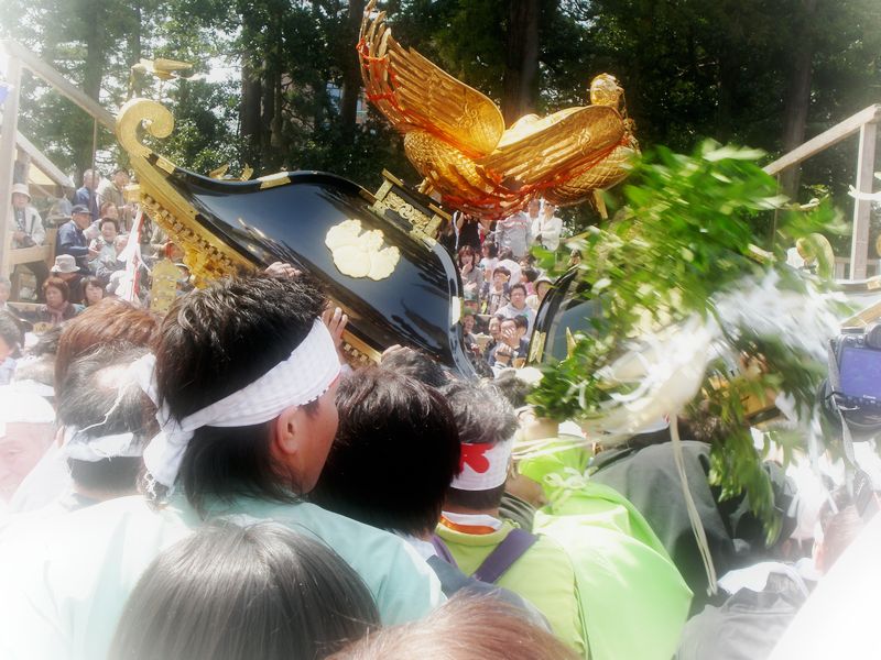 天津神社春大祭_d0235898_17572054.jpg