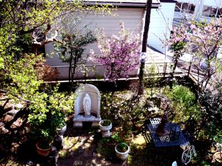 春の庭　_c0203401_12352891.jpg