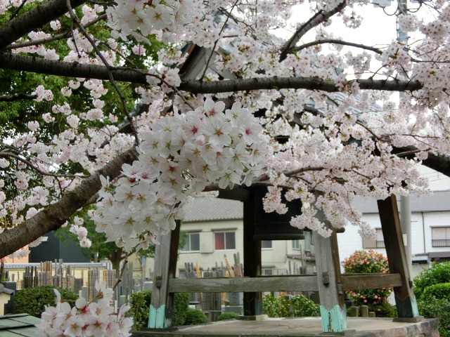 b0190603_13304978.jpg