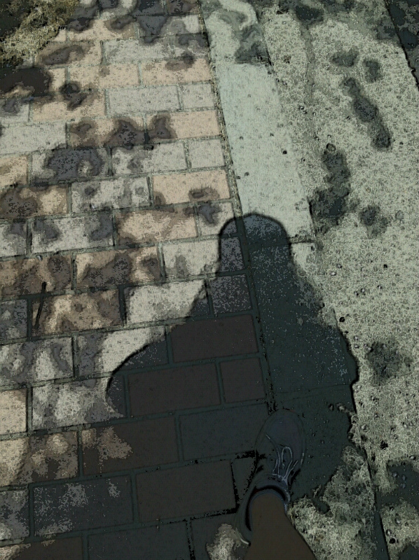 e0183004_2028343.jpg
