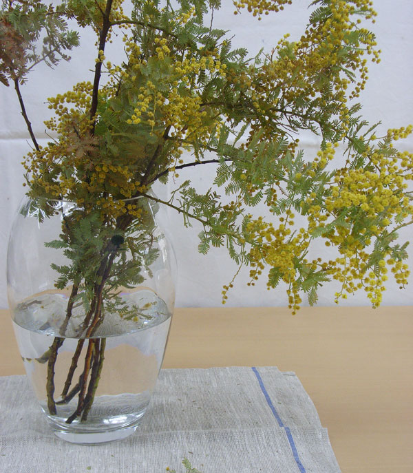 アトリエ蒼通信255 2012年4月12日(火) _b0129807_2353498.jpg