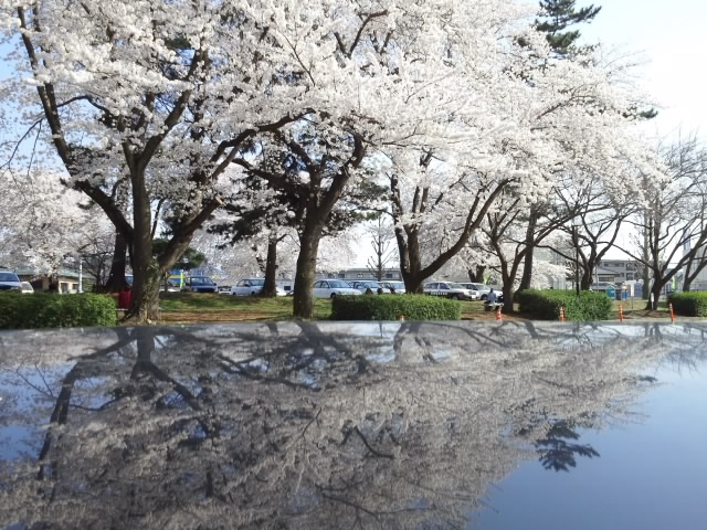 f0155808_16334645.jpg