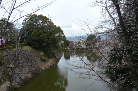 f0221708_21223272.jpg