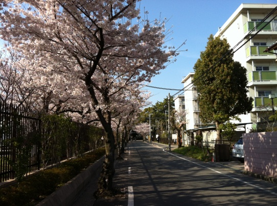 c0180209_1965422.jpg