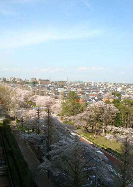 e0236809_17504466.jpg