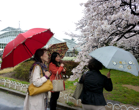 鴨川と植物園 _e0048413_2115125.jpg