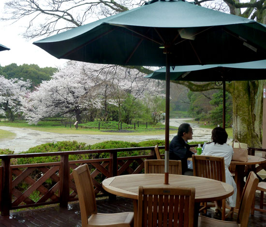 鴨川と植物園 _e0048413_2121578.jpg