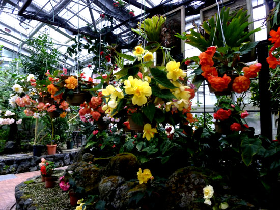 鴨川と植物園 _e0048413_21228.jpg