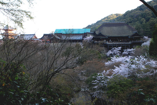 清水寺　さくら満開_e0048413_22365374.jpg