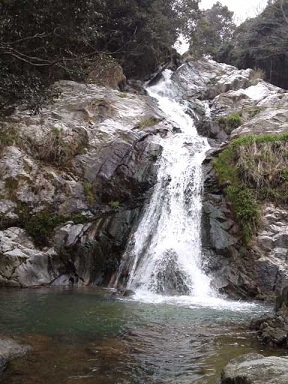 c0146714_139884.jpg