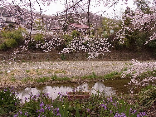 雨の合い間に。_b0157216_1105942.jpg