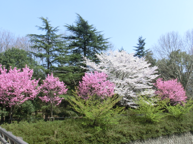 c0200916_23141630.jpg