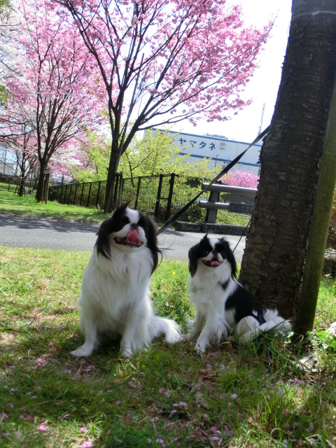 c0200916_23185514.jpg
