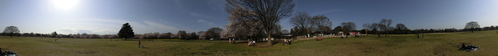 c0200916_23264769.jpg
