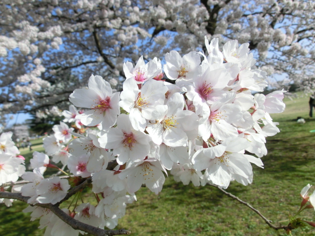 c0200916_23392492.jpg
