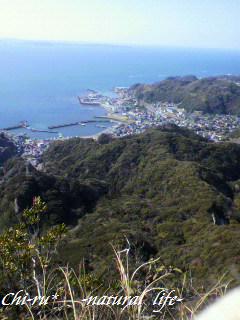 d0179417_11314083.jpg