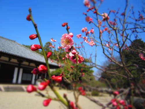 b0117618_026593.jpg