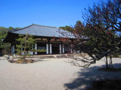 b0117618_104587.jpg