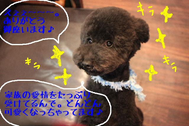 ケアグッツ入荷してます！！_b0130018_031158.jpg