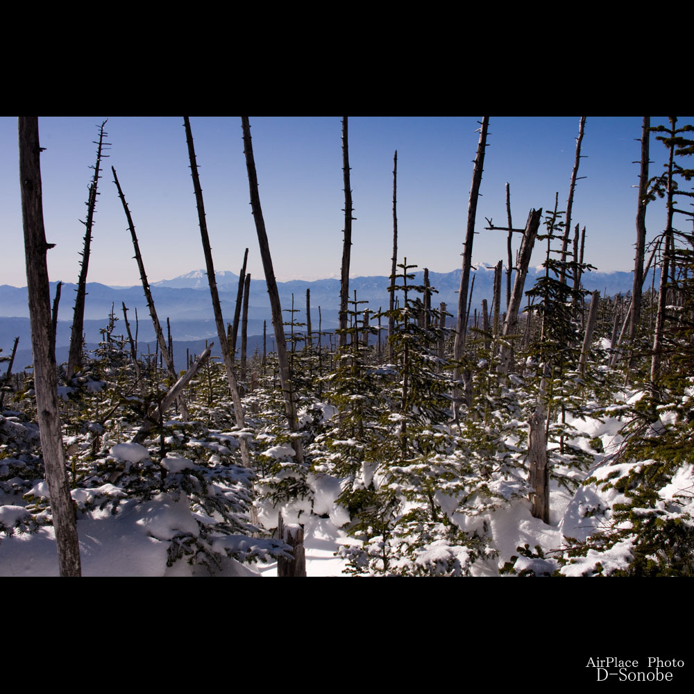 f0086721_10840.jpg