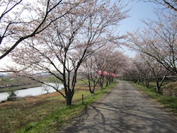 f0147922_17582717.jpg