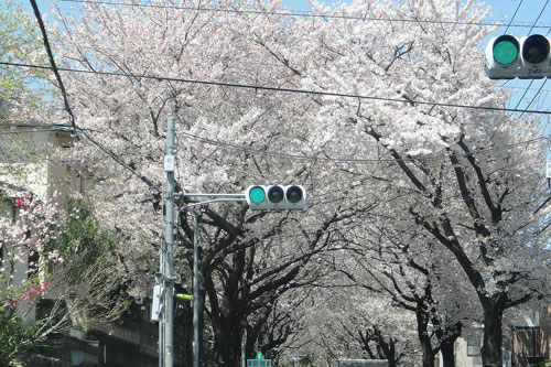 c0028424_21292953.jpg