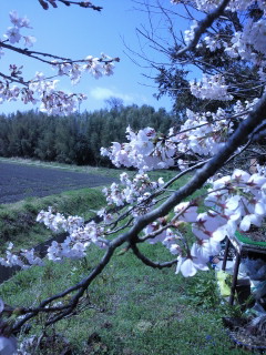 c0038424_22244543.jpg