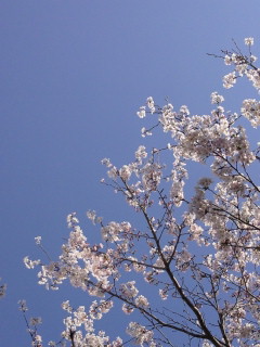 c0038424_22251579.jpg