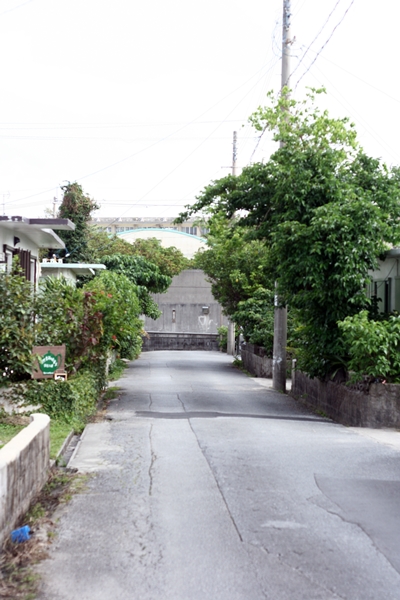 f0135026_221575.jpg