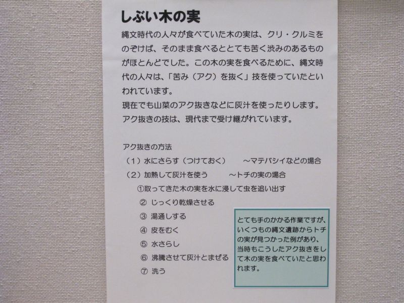 水平対向4気筒自然吸気直噴エンジンの快感を楽しむ_f0076731_2116171.jpg