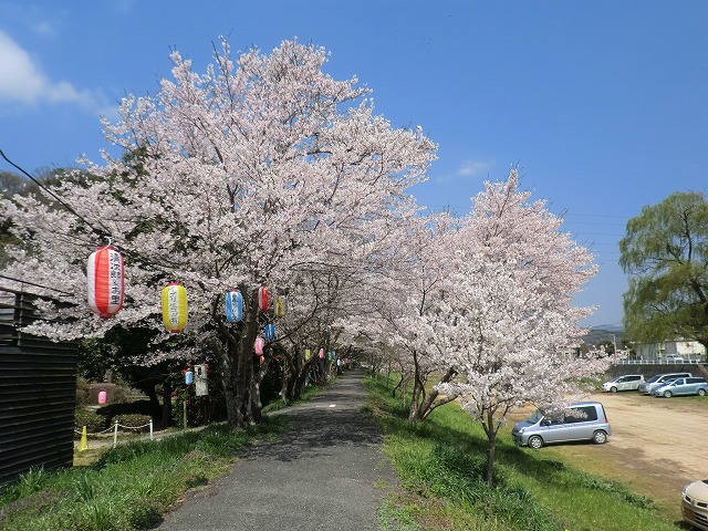 4月11日　今日の近水園◆舞台裏をお見せします(>_<)_a0045932_1147783.jpg