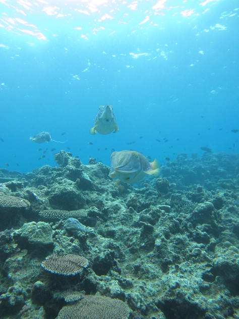c0070933_1821388.jpg