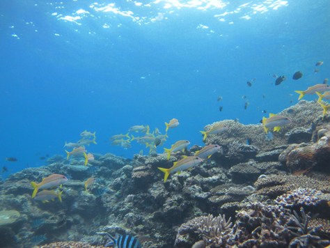 c0070933_1821949.jpg